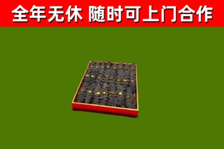 衡南县回收海参